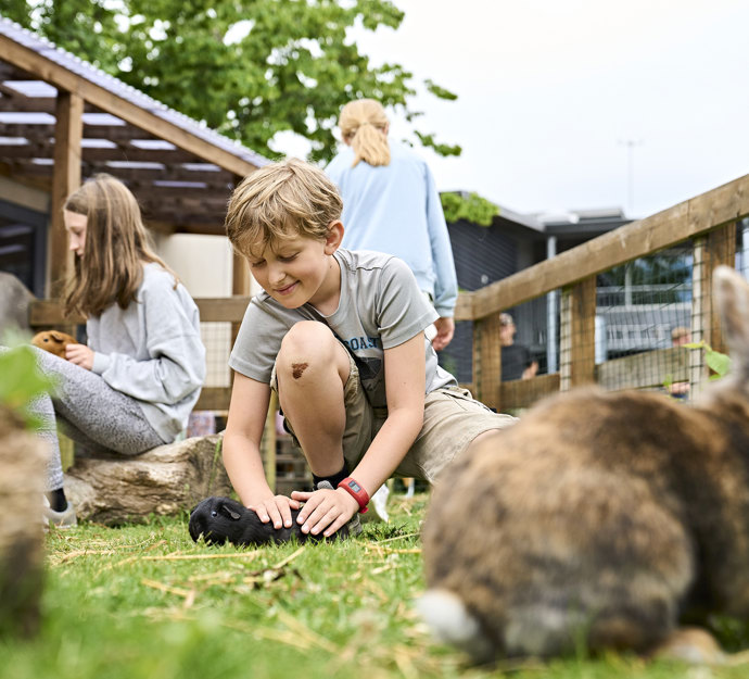 Børn der leger med kaniner